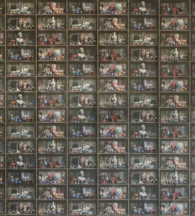 Collector Mini Wallpaper by Andrew Martin Multi