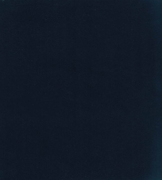 Columbia Fabric by Wemyss Ebony