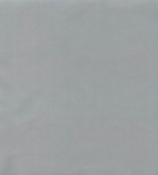 Columbia Fabric by Wemyss Light Grey