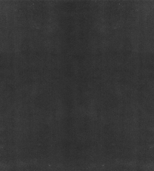 Columbia Fabric by Wemyss Mole