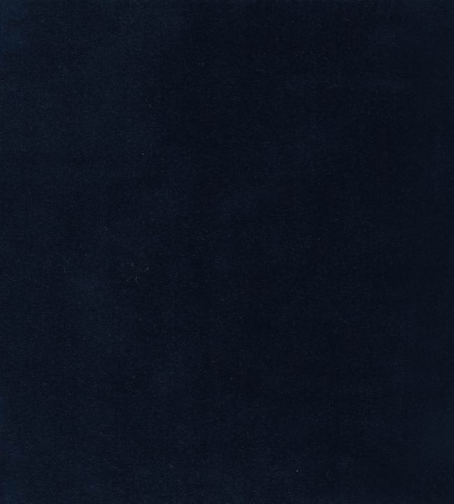 Columbia Fabric by Wemyss Navy