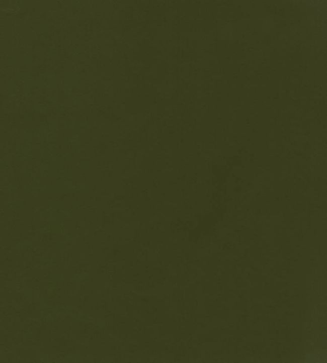 Columbia Fabric by Wemyss Olive