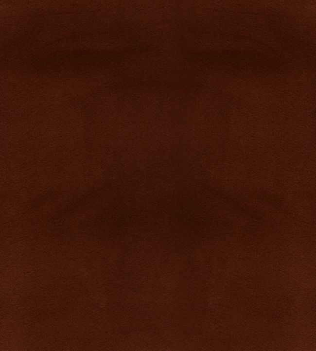 Columbia Fabric by Wemyss Russet
