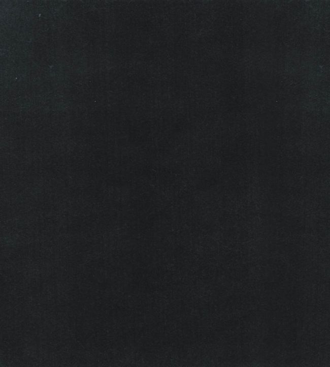 Columbia Fabric by Wemyss Storm