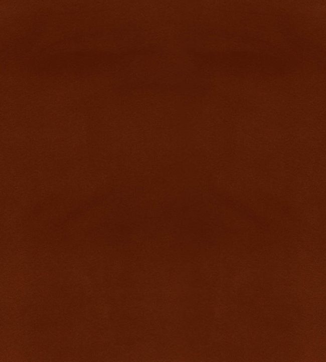 Columbia Fabric by Wemyss Terracotta