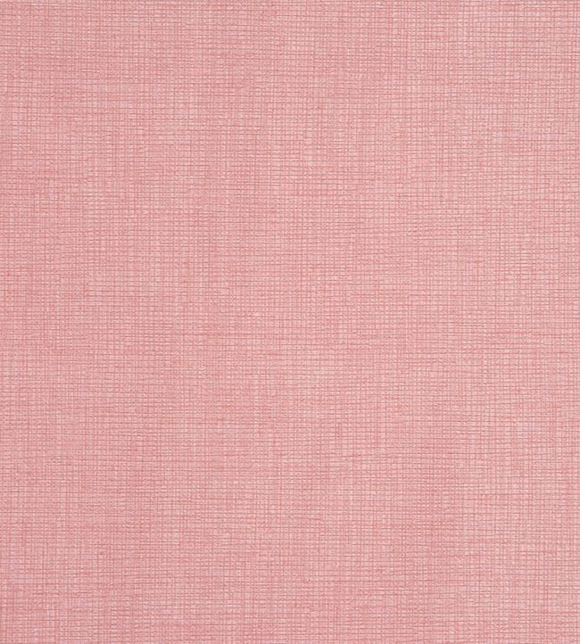 Concept Fabric by Prestigious Textiles Blush
