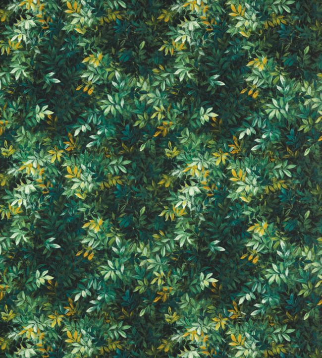 Congo Outdoor Fabric by Clarke & Clarke Forest
