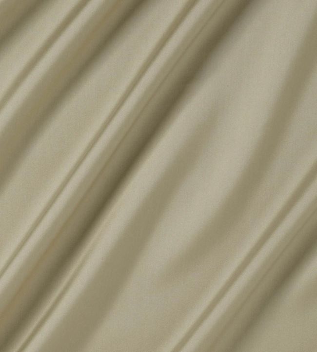 Connaught Silk Fabric by James Hare Pastis
