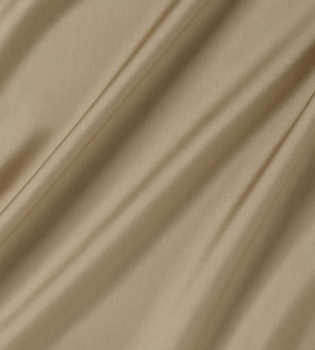 Connaught Silk Fabric by James Hare Rye