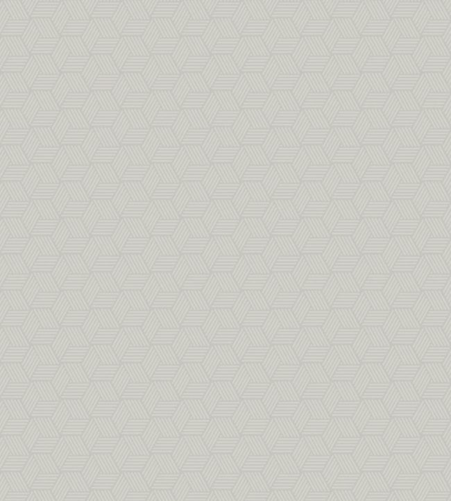 Connexions Wallpaper by Casadeco Gris Plume