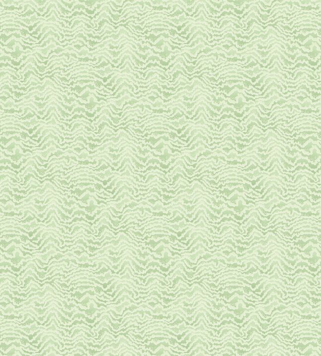 Contour Wallpaper by Ohpopsi Pistachio