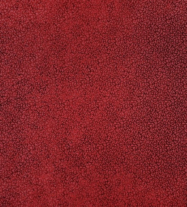 Cora Fabric by Casal Coraux