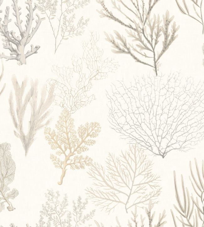 Corail Wallpaper by Casadeco Beige