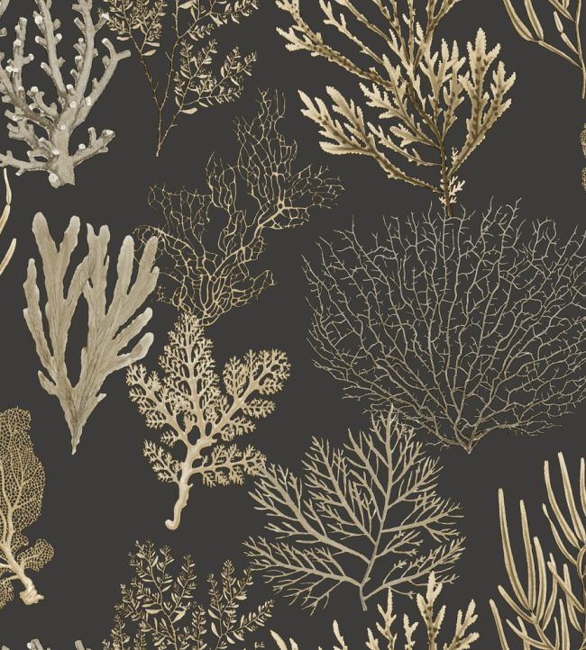 Corail Wallpaper by Casadeco Noir Fusain