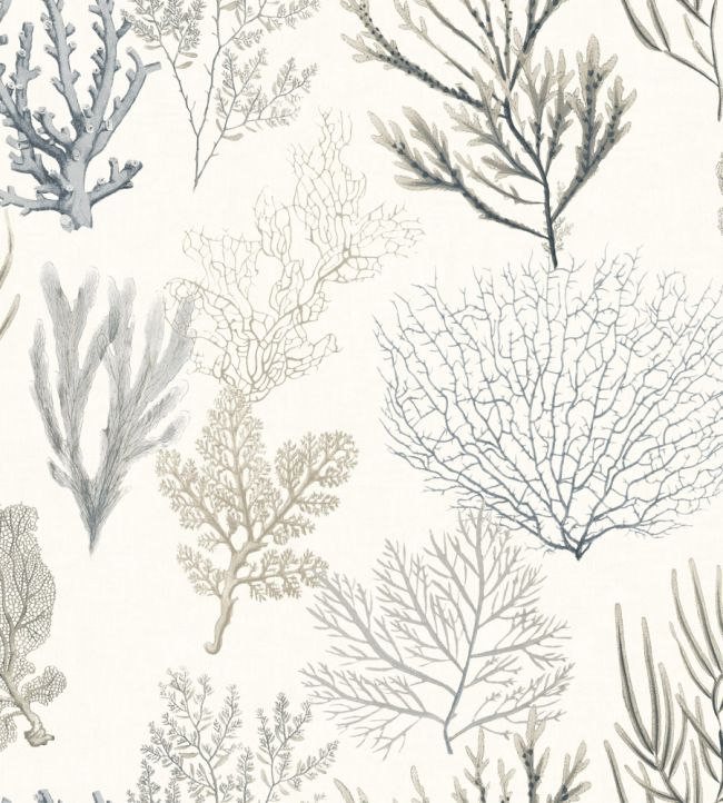 Corail Wallpaper by Casadeco Noir