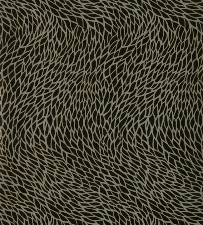 Corallino Wallpaper by Clarke & Clarke Noir