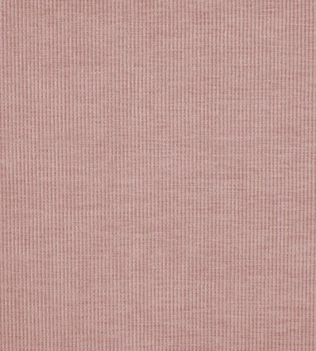 Cord Fabric by Prestigious Textiles Petal