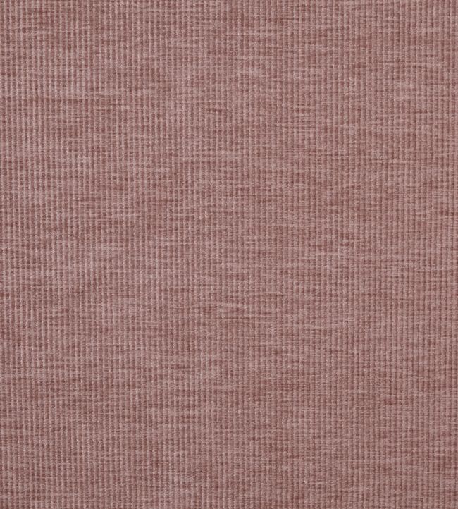 Cord Fabric by Prestigious Textiles Woodrose