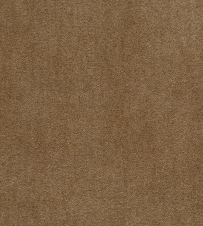 Cordillera Fabric by Osborne & Little Camel