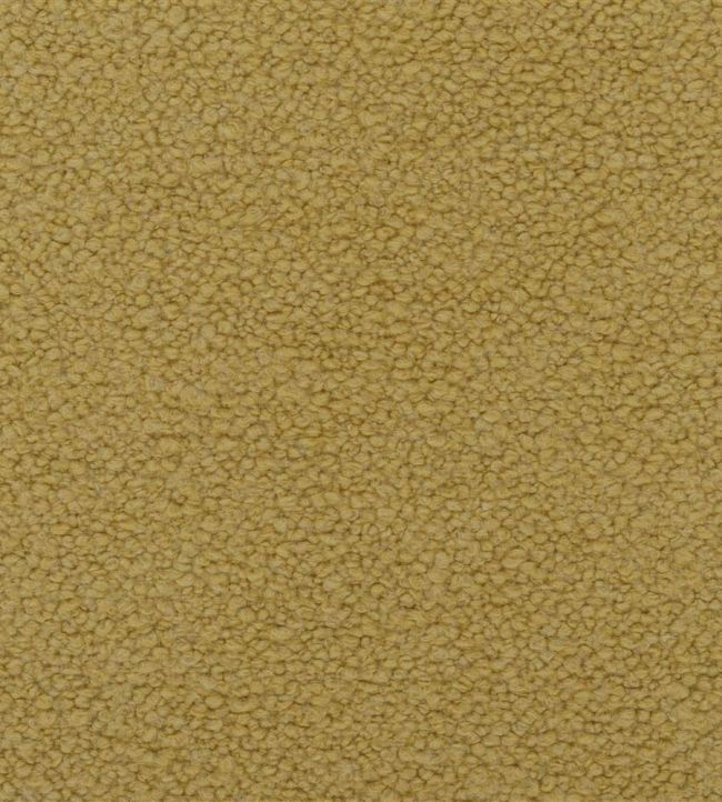 Cormo Fabric by Designers Guild Acacia