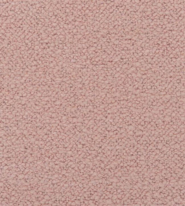 Cormo Fabric by Designers Guild Blossom