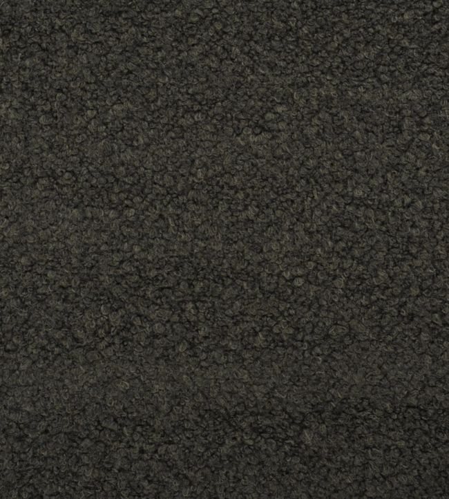 Cormo Fabric by Designers Guild Chocolate