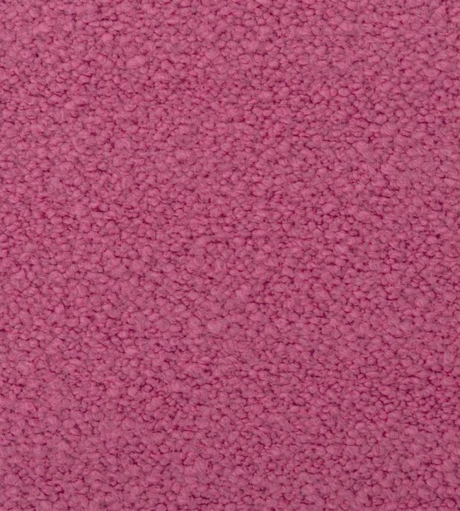 Cormo Fabric by Designers Guild Peony