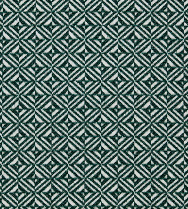 Coronado Fabric by Clarke & Clarke Forest