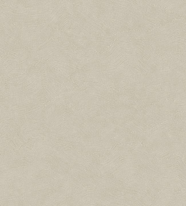 Cote D'opale Wallpaper by Casadeco Taupe