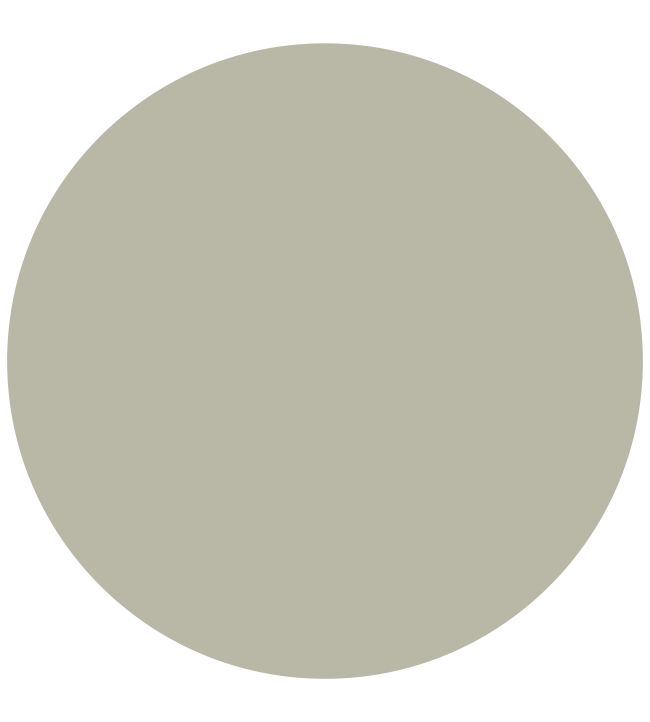 Cotswold Green Satin Paint by Annie Sloan Cotswold Green