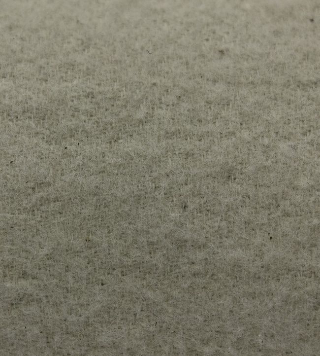 Interlining by JC Neutral