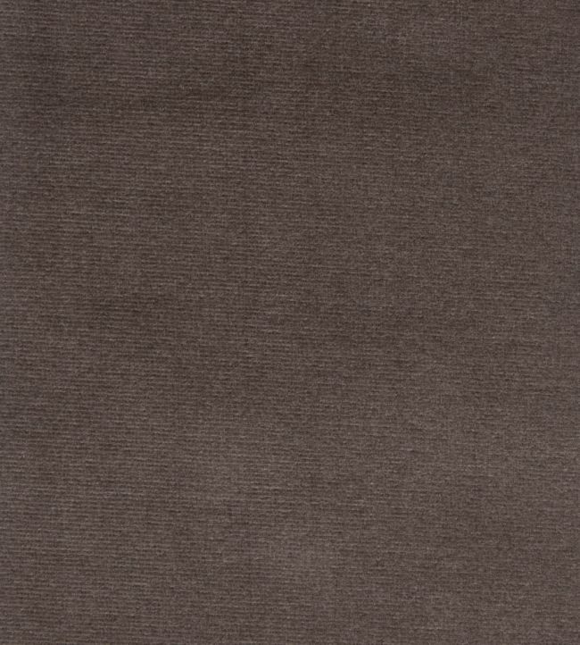 Cotton Velvet Fabric by Liberty Curlew