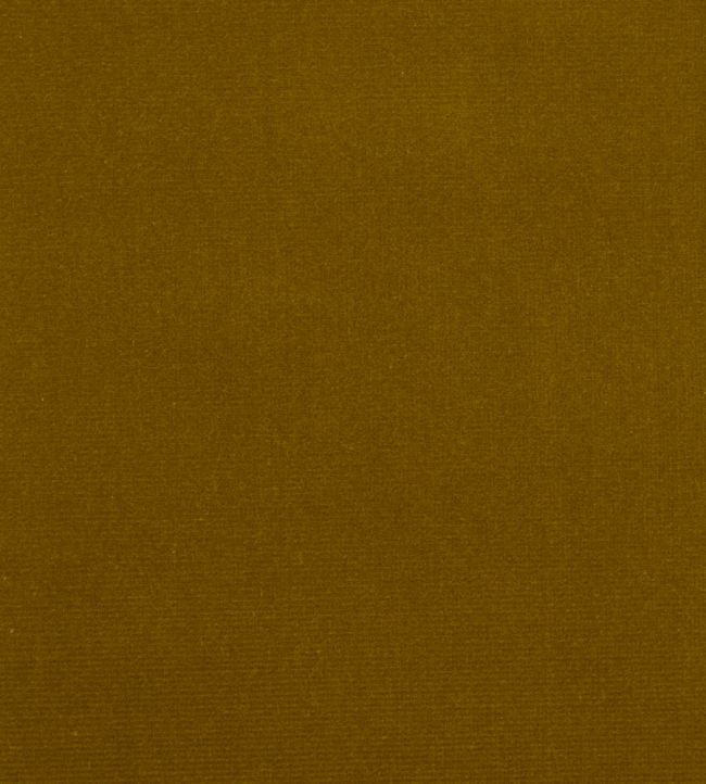 Cotton Velvet Fabric by Liberty Fennel