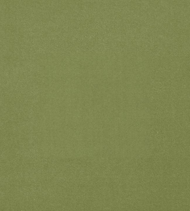 Cotton Velvet Fabric by Liberty Fern