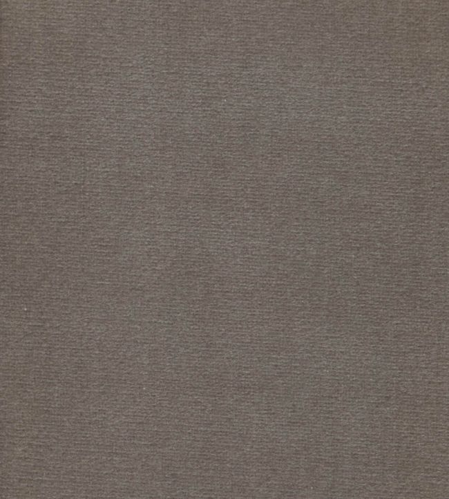 Cotton Velvet Fabric by Liberty Flax