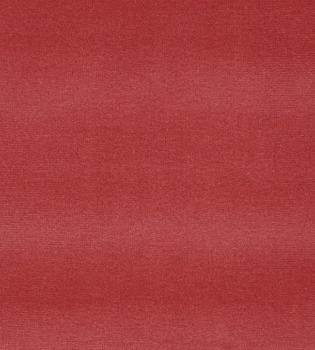 Cotton Velvet Fabric by Liberty Lacquer