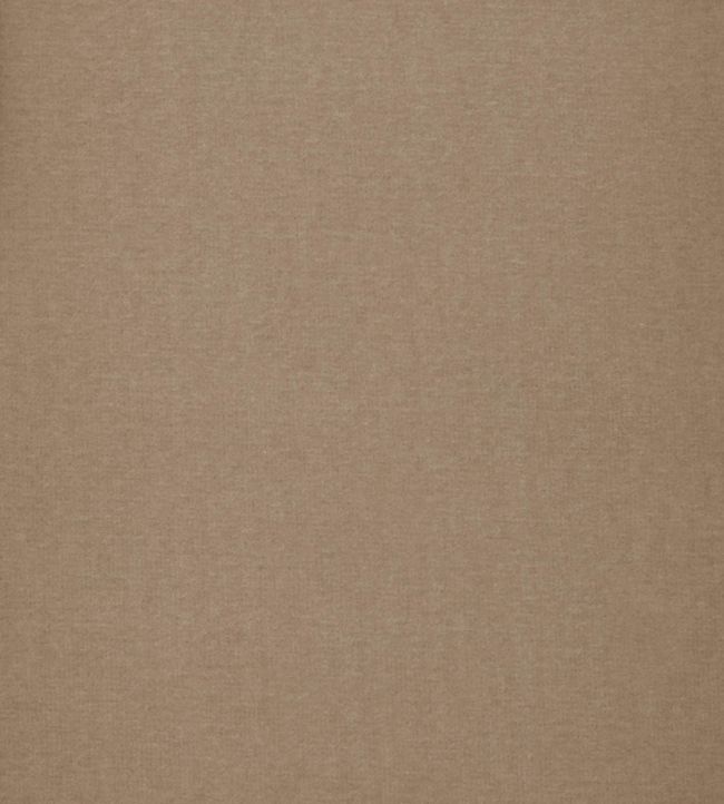 Cotton Velvet Fabric by Liberty Ointment