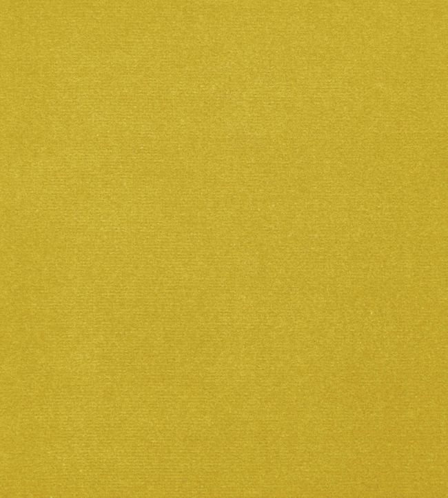 Cotton Velvet Fabric by Liberty Yarrow