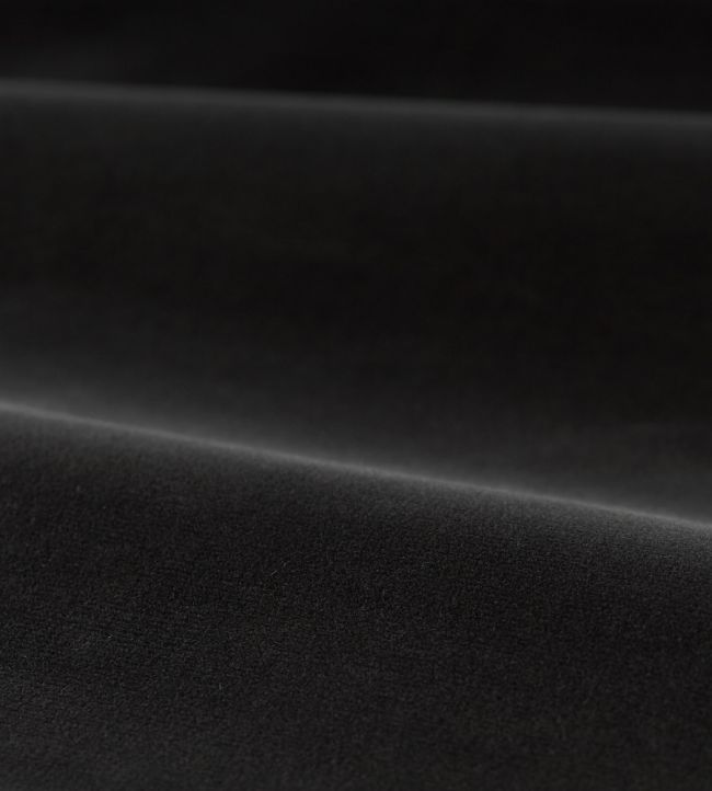 Cotton Velvet Performance Fabric by Zoffany Anthracite