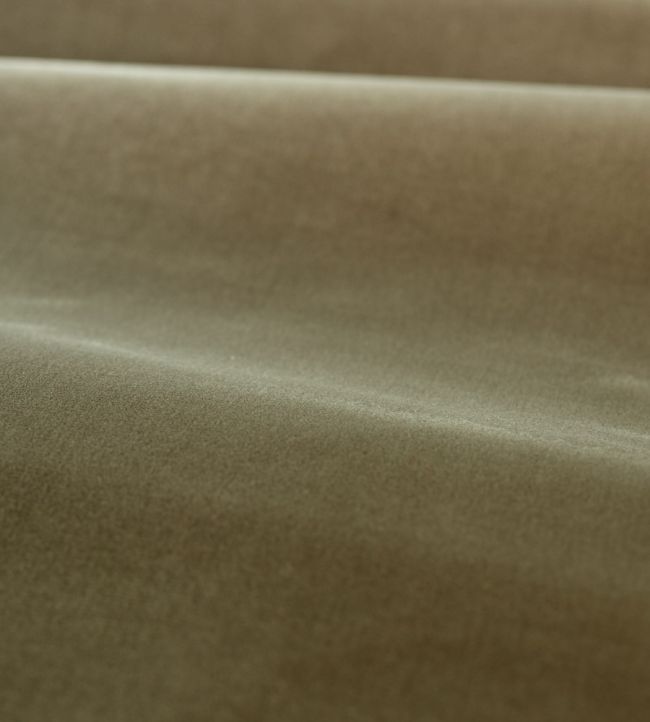 Cotton Velvet Performance Fabric by Zoffany Antique Linen