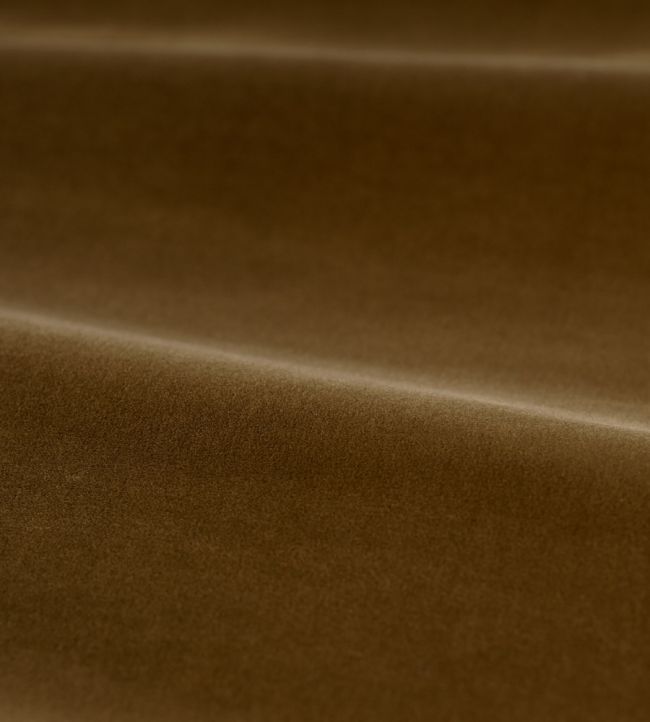 Cotton Velvet Performance Fabric by Zoffany Camel