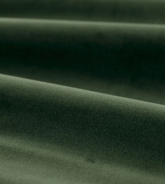 Cotton Velvet Performance Fabric in Deep Moss by Zoffany | Jane
