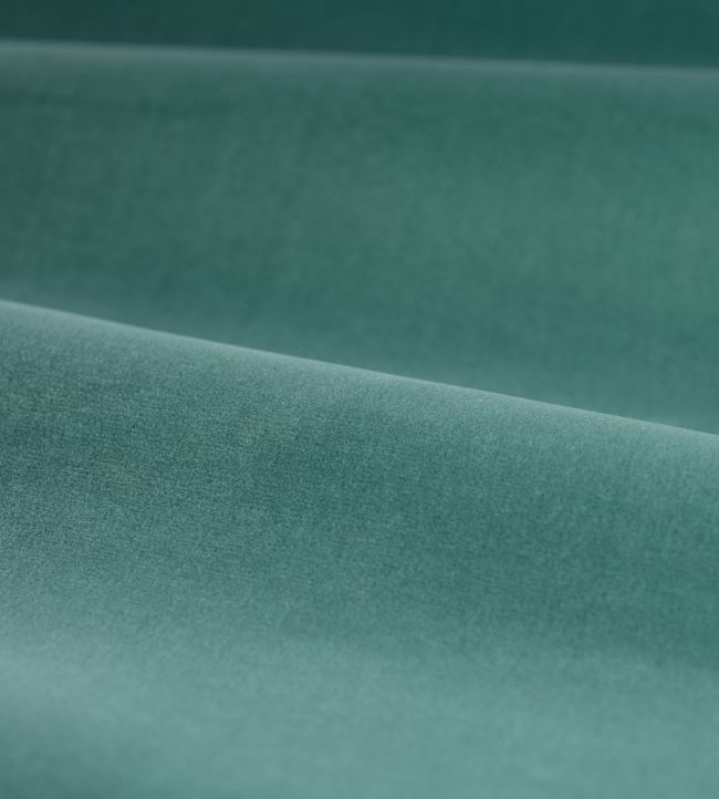 Cotton Velvet Performance Fabric by Zoffany Dufour