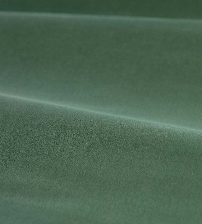 Cotton Velvet Performance Fabric by Zoffany Eau de Nil