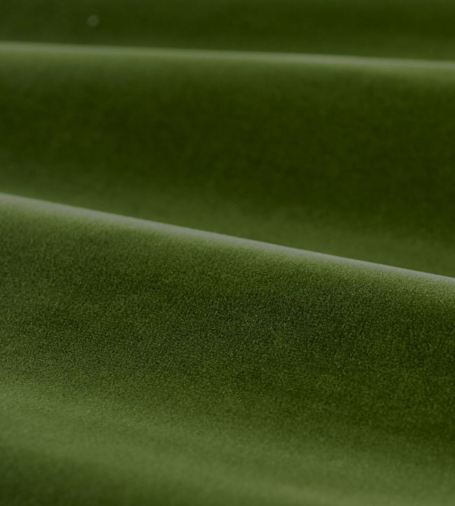 Cotton Velvet Performance Fabric by Zoffany Evergreen