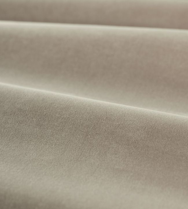 Cotton Velvet Performance Fabric by Zoffany Mink