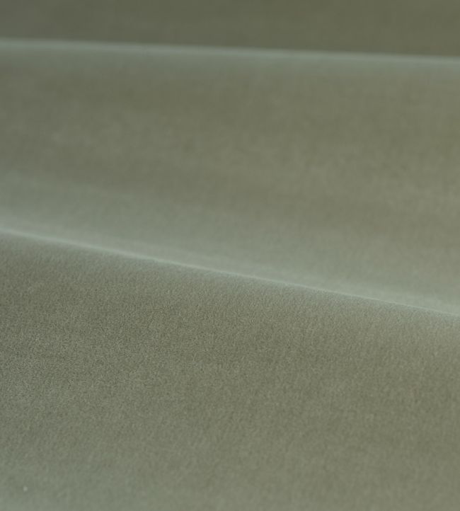 Cotton Velvet Performance Fabric by Zoffany Mist