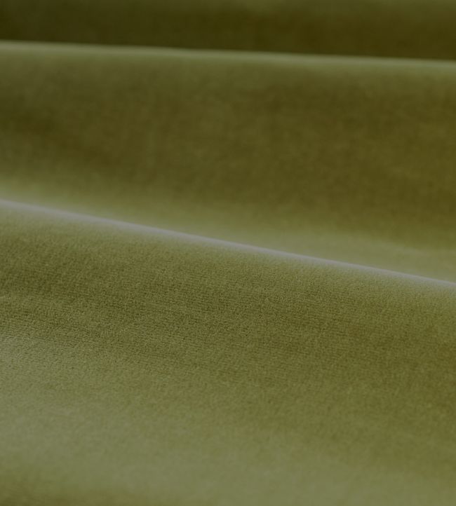 Cotton Velvet Performance Fabric by Zoffany Olive
