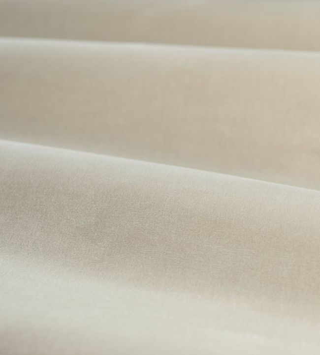 Cotton Velvet Performance Fabric by Zoffany Pale Blush