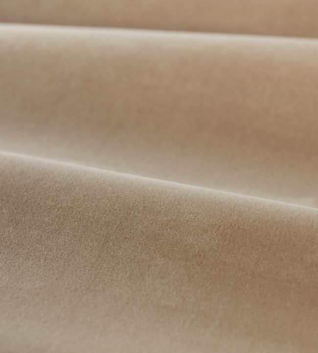 Cotton Velvet Performance Fabric by Zoffany Parchment